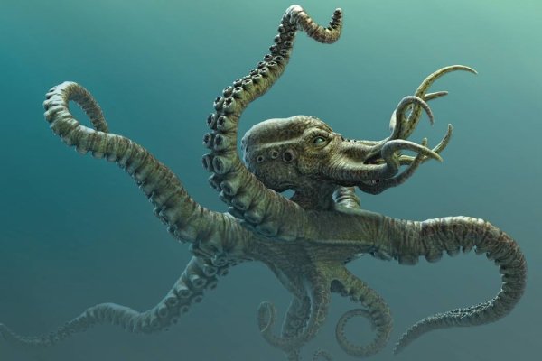 Kraken нарко магазин