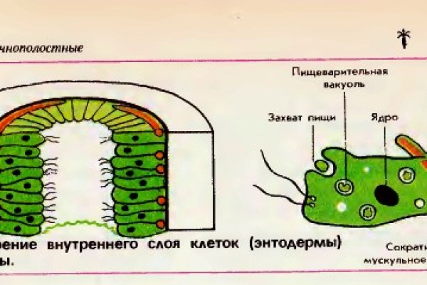 Кракен сайт 18