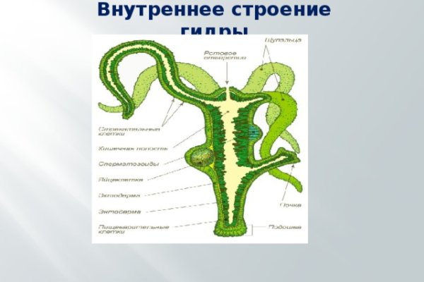 Что за кракен маркет