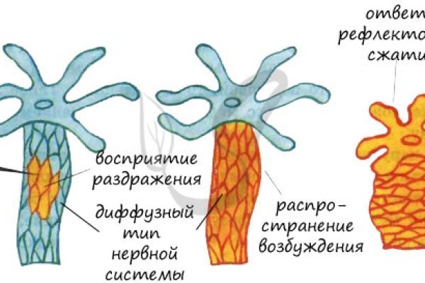 Кракен через тор браузер